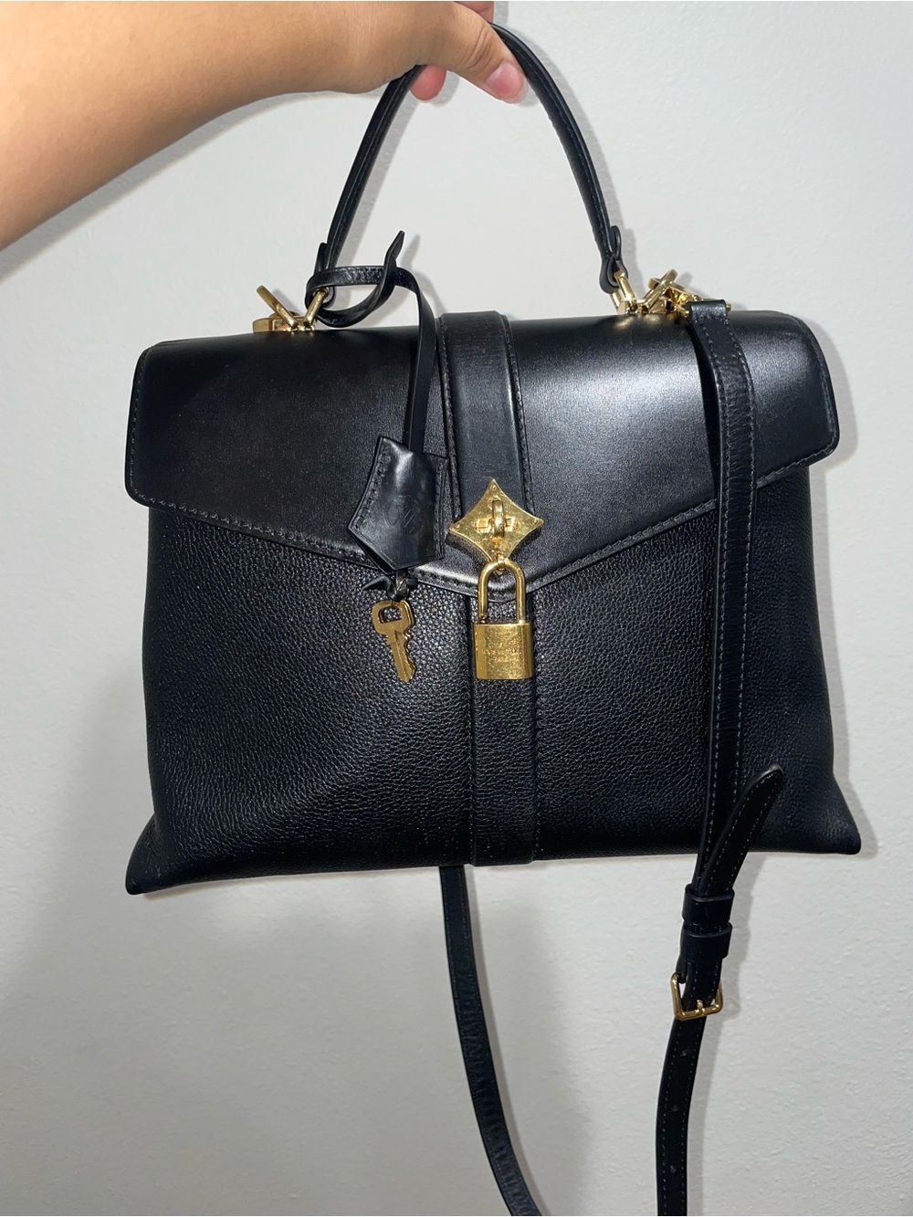 LOUIS VUITTON ROSE DES VENTS MM